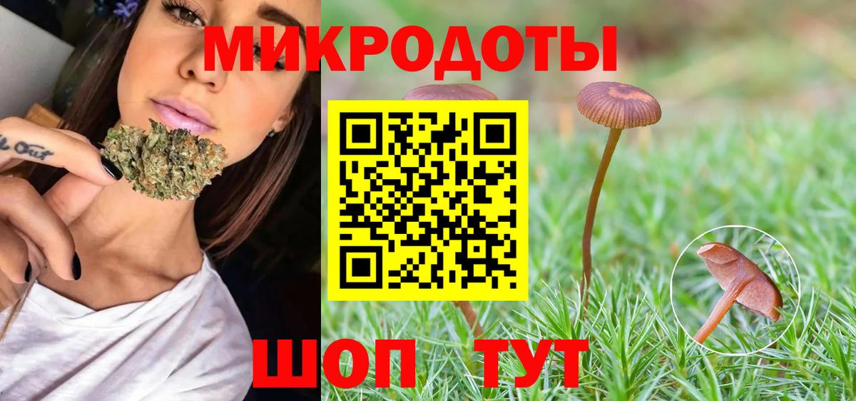 Галлюциногенные грибы Cubensis  Вход с VPN  Малгобек 