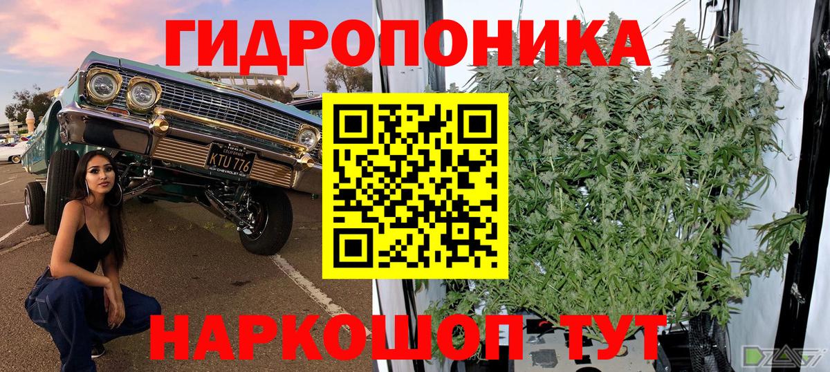 Канабис семена  Каннабис VHQ  Бошки марихуана конопля  Вход с VPN  Малгобек 